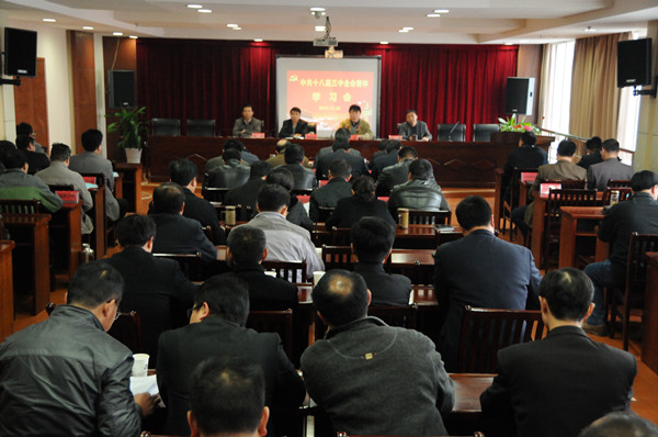 20131122bgs01.jpg